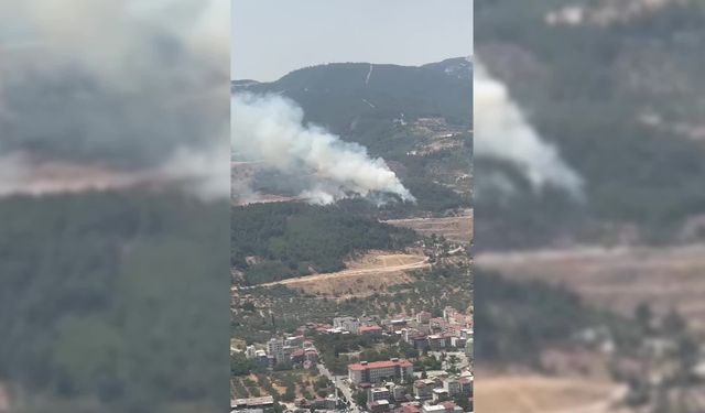 Manisa Soma'da orman yangını