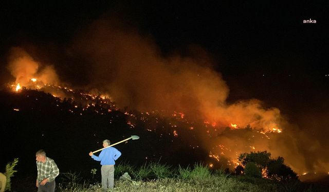 Bingöl’de ormanlık alanda çıkan yangın kontrol altına alındı