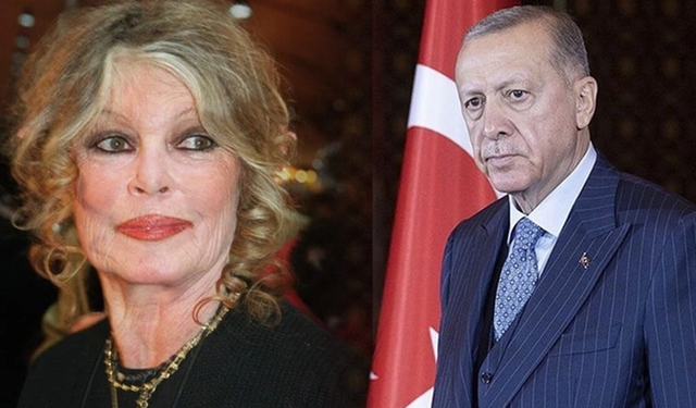 Dünyaca ünlü oyuncu Brigitte Bardot'tan Erdoğan'a 'sokak hayvanları' çağrısı