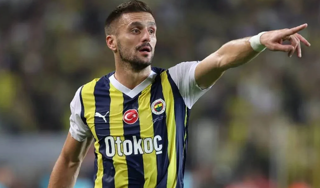 Fenerbahçeli Tadic'ten milli takım kararı