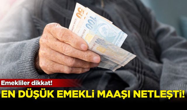 Emekliler dikkat! En düşük emekli maaşı netleşti...