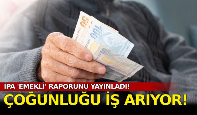 İPA 'emekli' raporu yayınladı! Çoğunluğu iş arıyor...