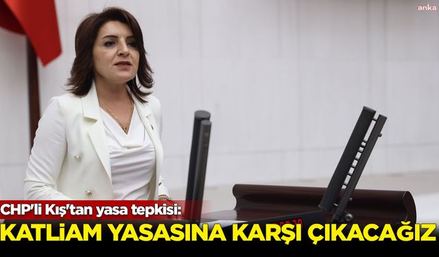 CHP'li Kış'tan yasa tepkisi: Katliam yasasına karşı çıkacağız