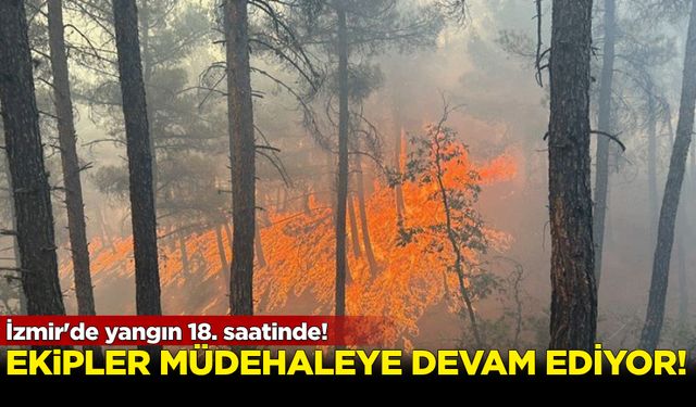 İzmir'de yangın 18. saatinde! Müdehale sürüyor...