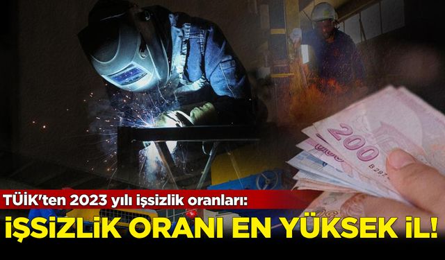 TÜİK açıkladı! İşte işsizlik oranı en yüksek il