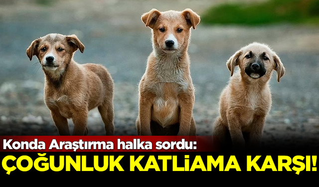 KONDA Araştırma halka sordu: Çoğunluk 'Katliam Yasası'na karşı