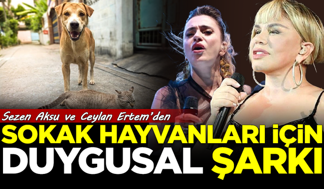 Sezen Aksu ve Ceylan Ertem'den sokak hayvanları için duygusal şarkı