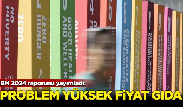 BM 2024 raporu yayımlandı: Problem yüksek fiyat gıda