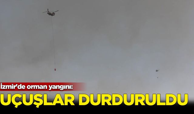 İzmir'de orman yangını: Uçuşlar durduruldu