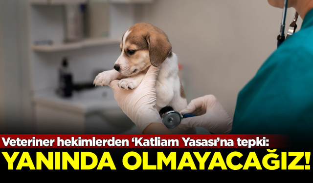 Türk Veteriner Hekimleri Birliği'nden AK Parti'nin 'Katliam Yasası'na tepki: Teklifin yanında olmayacağız!