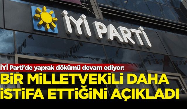 İYİ Parti'de yaprak dökümü devam ediyor: Bir Milletvekili daha istifa etti