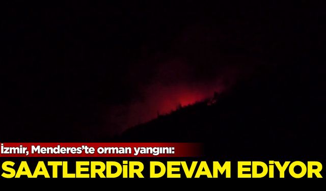 Menderes'teki orman yangını 7 saati aşkın süredir devam ediyor