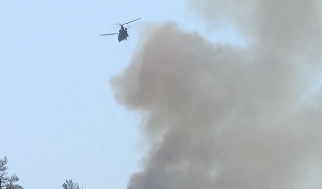 Ankara-Bolu sınırındaki orman yangını: 13 yayla evi ve bir cami yandı