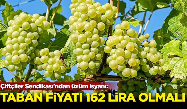 Çiftçiler Sendikası'ndan üzüm isyanı: Taban fiyatı 162 lira olmalı