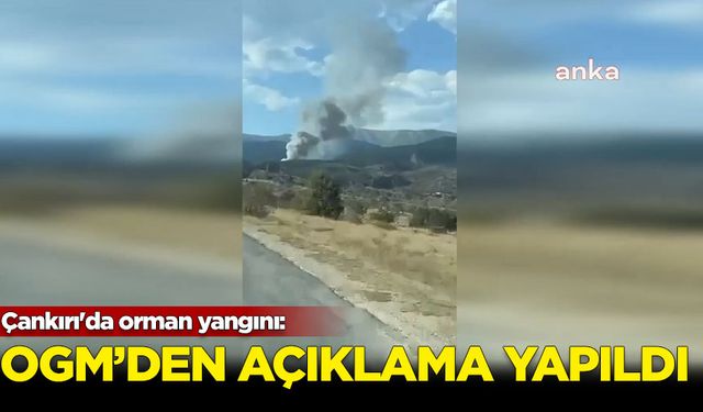 Çankırı'da orman yangını: OGM'den açıklama