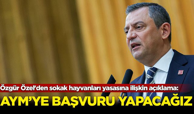 Özgür Özel'den sokak hayvanları yasasına ilişkin açıklama: AYM'ye başvuru yapacağız