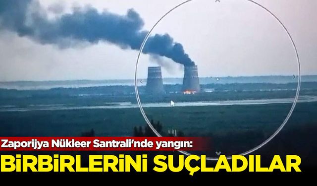 Rusya ve Ukrayna, Zaporijya Nükleer Santrali'nde çıkan yangında birbirini suçladı