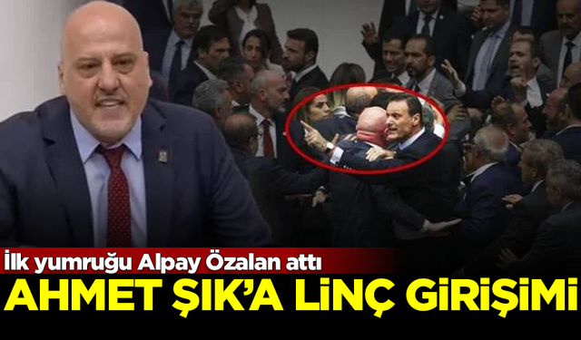 Meclis'te Ahmet Şık'a linç girişimi! İlk yumruğu AK Partili Alpay Özalan attı