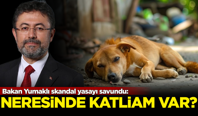 Bakan Yumaklı 'Katliam Yasası'nı savundu: Neresinde katliam var?