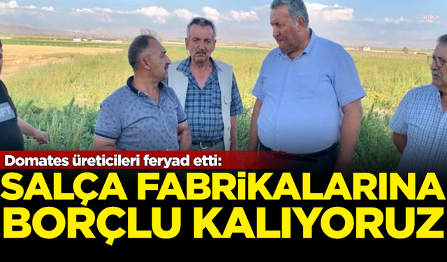 Domates üreticileri feryad etti: Salça fabrikalarına borçlu kalıyoruz