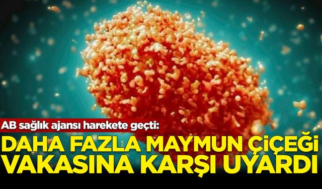 AB sağlık ajansı, daha fazla maymun çiçeği vakasına karşı uyardı