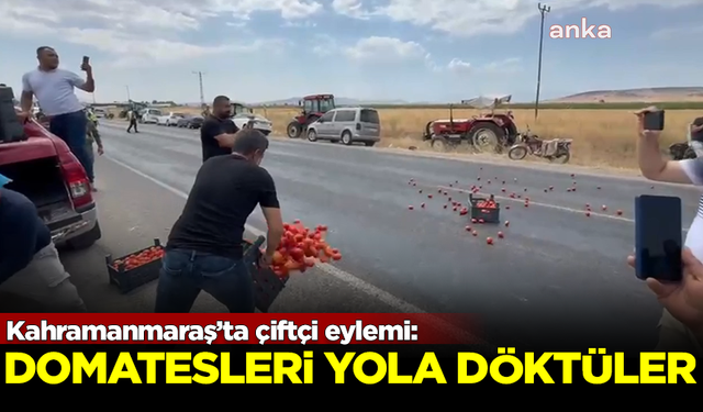 Kahramanmaraş'ta çiftçi eylemi! Domatesleri yola döktüler