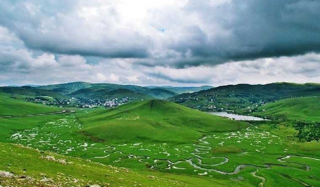 Yaylalarda elden gidiyor! Büyük tehlike altında...