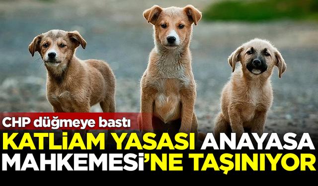 CHP düğmeye bastı! 'Katliam Yasası' Anayasa Mahkemesi'ne taşınıyor