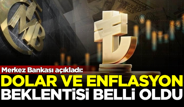 Merkez Bankası'nın yıl sonu dolar ve enflasyon tahmini belli oldu