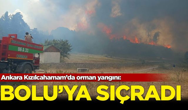 Ankara, Kızılcahamam'da orman yangını