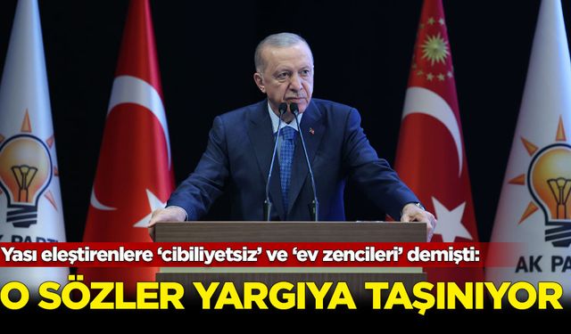 Erdoğan'ın ''cibiliyetsiz'' ve ''ev zencileri'' sözleri yargıya taşındı