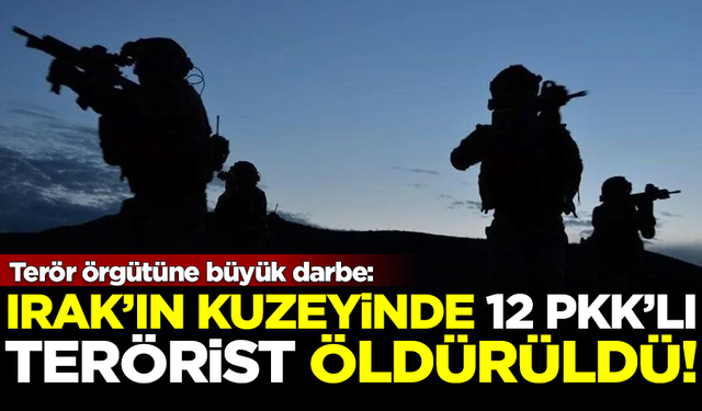 Irak'ın kuzeyinde terör örgütüne dev darbe! 12 PKK'lı terörist öldürüldü