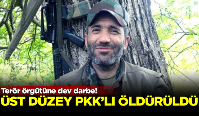 Terör örgütüne dev darbe! 34 şehidin katili üst düzey PKK'lı öldürüldü