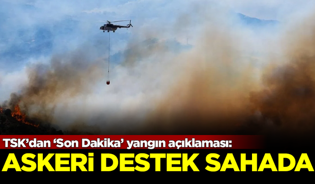 TSK'dan flaş yangın açıklaması: Askeri destekler sahada