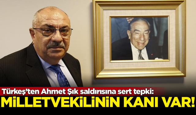 Tuğrul Türkeş'ten Ahmet Şık'a yapılan saldırıya sert tepki: Yerde milletvekilinin kanı var