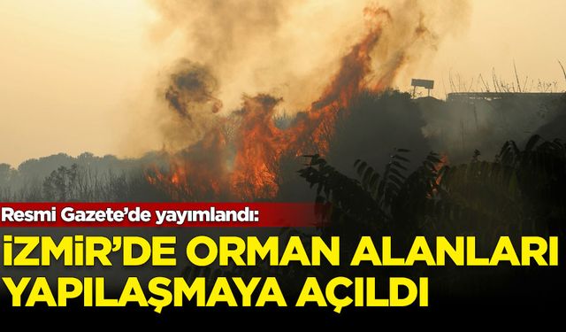 İzmir'de orman alanları yapılaşmaya açıldı