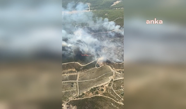 İzmir’in Urla ilçesinde orman yangını çıktı