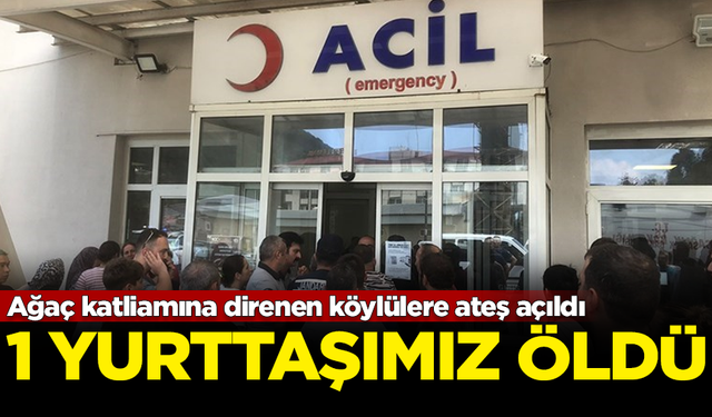 Hopa'da ağaç katliamına direnen köylülere silahlı saldırı: 1 yurttaşımız öldü