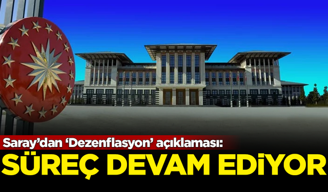 Saray'dan 'Dezenflasyon' açıklaması: Süreç devam ediyor