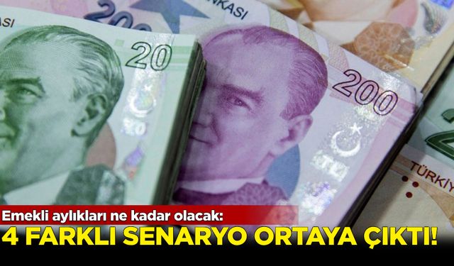 Emekli aylıkları ne kadar olacak: 4 farklı senaryo ortaya çıktı