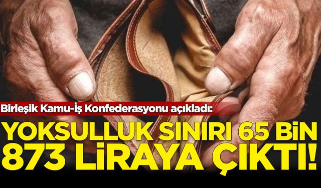 Birleşik Kamu-İş Konfederasyonu: Yoksulluk sınırı 65 bin 873 liraya çıktı