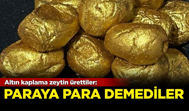 Altın kaplama zeytin ürettiler. Paraya para demediler