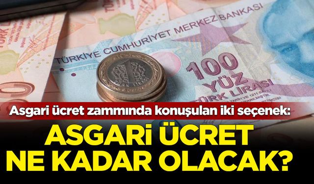 Asgari ücret zammında konuşulan iki seçenek: Asgari ücret ne kadar olacak?