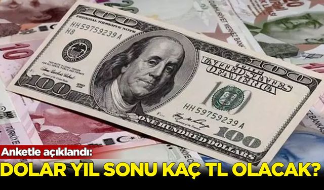 Anketle açıklandı: Dolar yıl sonu kaç TL olacak?