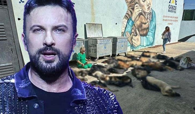 Megastar Tarkan'dan Gebze'deki katliama sert tepki