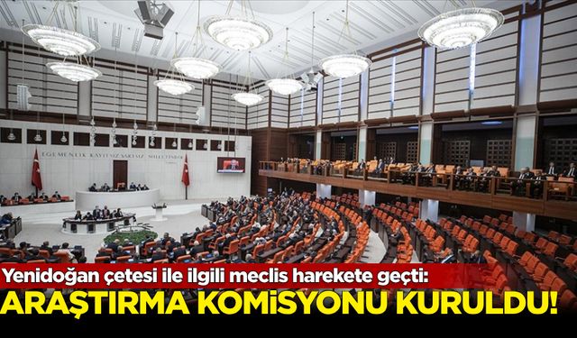 Yenidoğan çetesi ile ilgili meclis harekete geçti