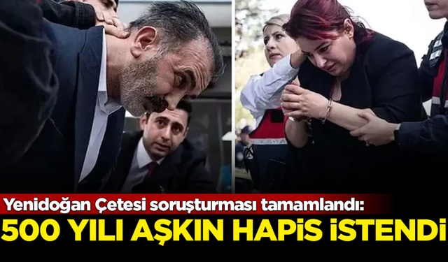 Yenidoğan Çetesi soruşturması tamamlandı: 500 yılı aşkın hapis istendi