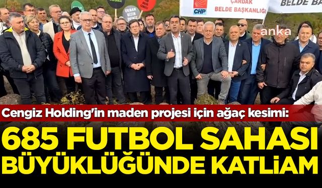 Cengiz Holding'in maden projesi için ağaç kesimi: 685 futbol sahası büyüklüğünde katliam