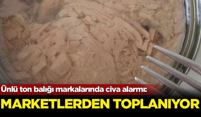 Ünlü ton balığı markalarında civa alarmı