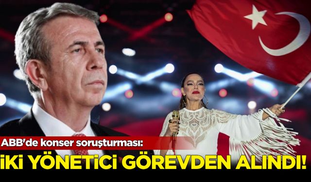 ABB'de konser soruşturması: İki yönetici görevden alındı